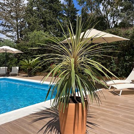 Arriba Stijlvol Appartement Met Zwembad En Tuin Conil De La Frontera Exterior foto