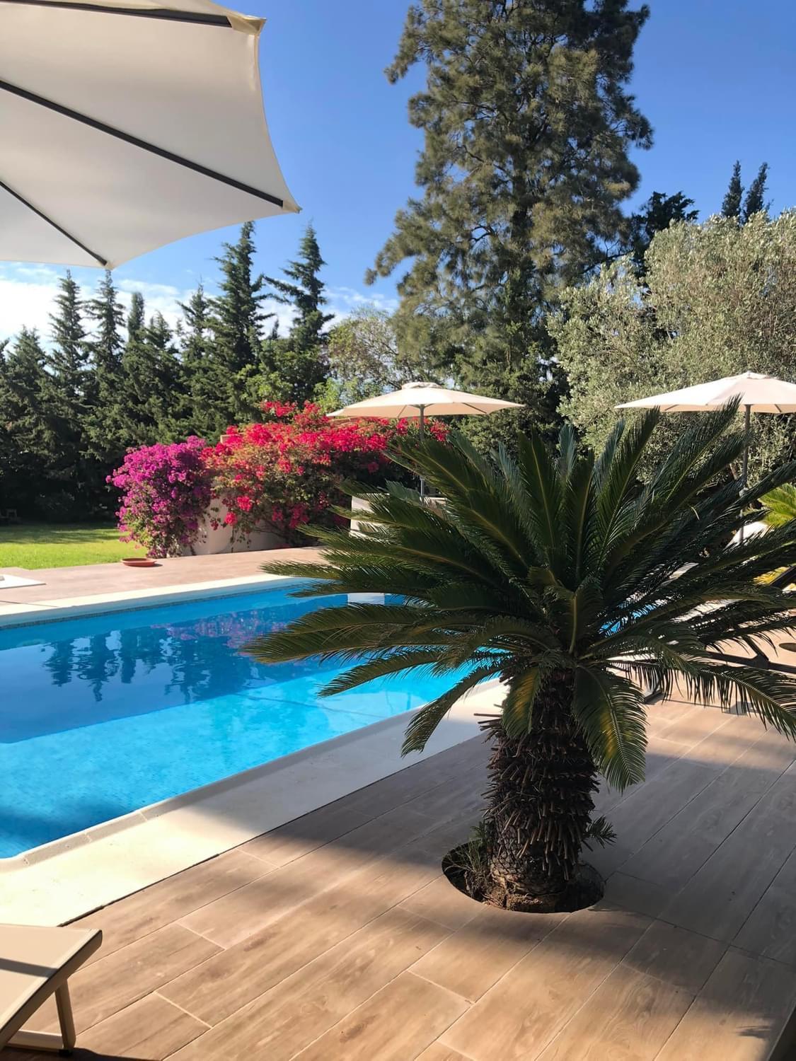 Arriba Stijlvol Appartement Met Zwembad En Tuin Conil De La Frontera Exterior foto